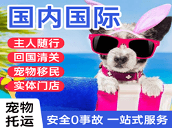 巴彦淖尔机场邮寄国际宠物托运 【国